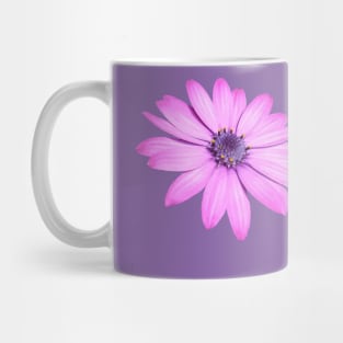 Single Pink African Daisy Isolated Mug